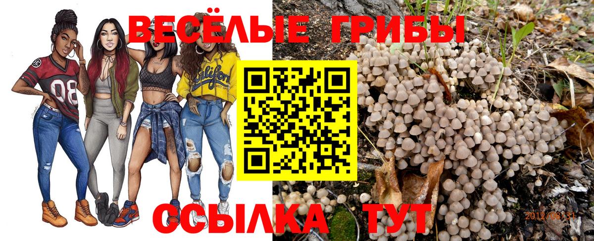 Псилоцибиновые грибы Psilocybe Кимовск